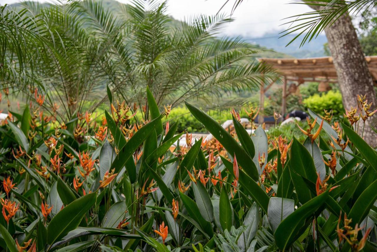 Hotel Nativa Refugio Escondido Santa Fe de Antioquia Esterno foto